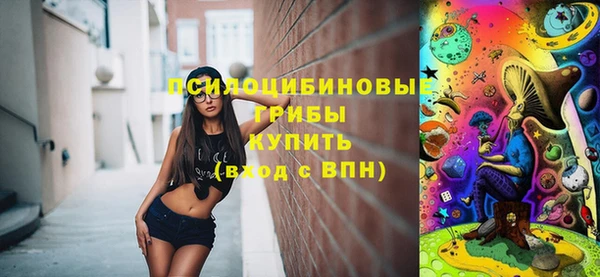 гидра Верея