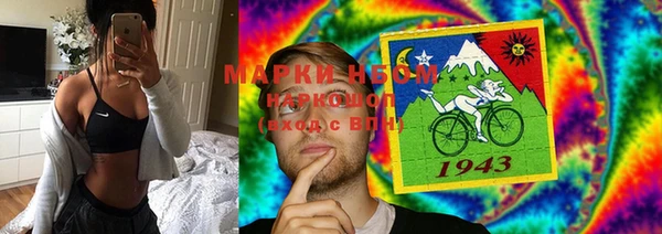 гидра Верея